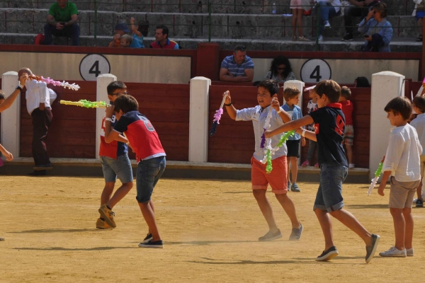 dsc-018545E005AF-F965-E253-31FA-5B6DB9B85E52.jpg